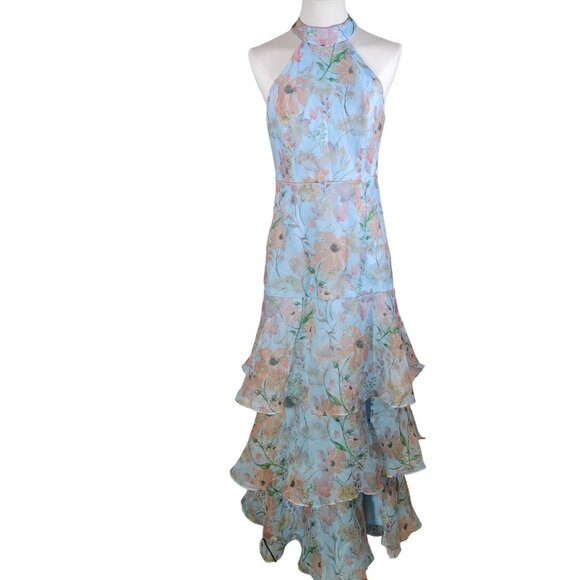 Lulus Forever Exceptional Light Blue Floral Halter Organza Maxi Dress Size M - Picture 2 of 8